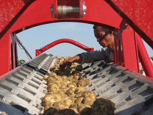 ½ʮʦһ˶ƽعģӪũҵЧ