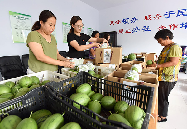 河北省南和县:党建扶贫“两手抓” 架起脱贫致富路