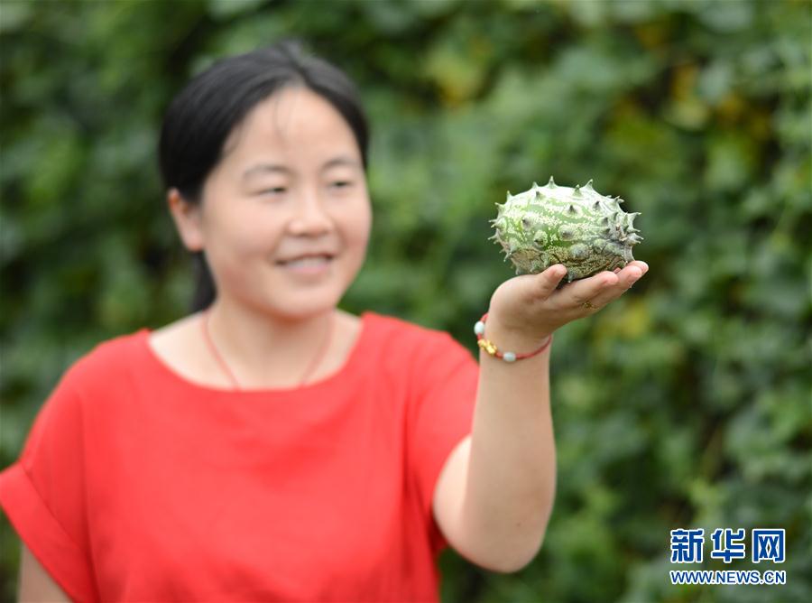 825գʡĥƺ̶ƺչʾղժĻι