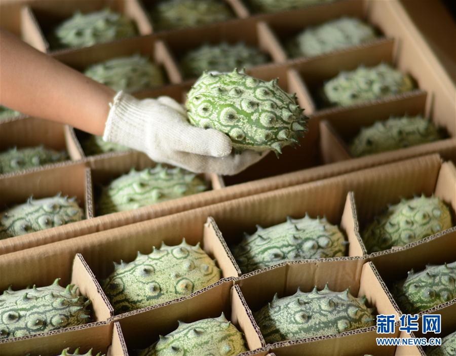 825գʡĥƺ̶ƺ񽫻ιװ