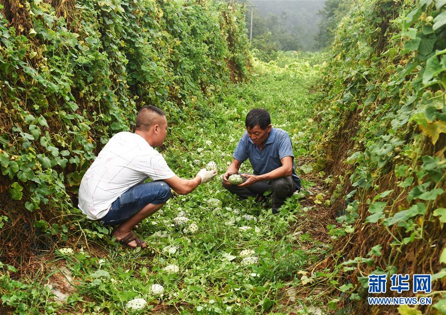 825գʡĥƺ̶ƺڲժι