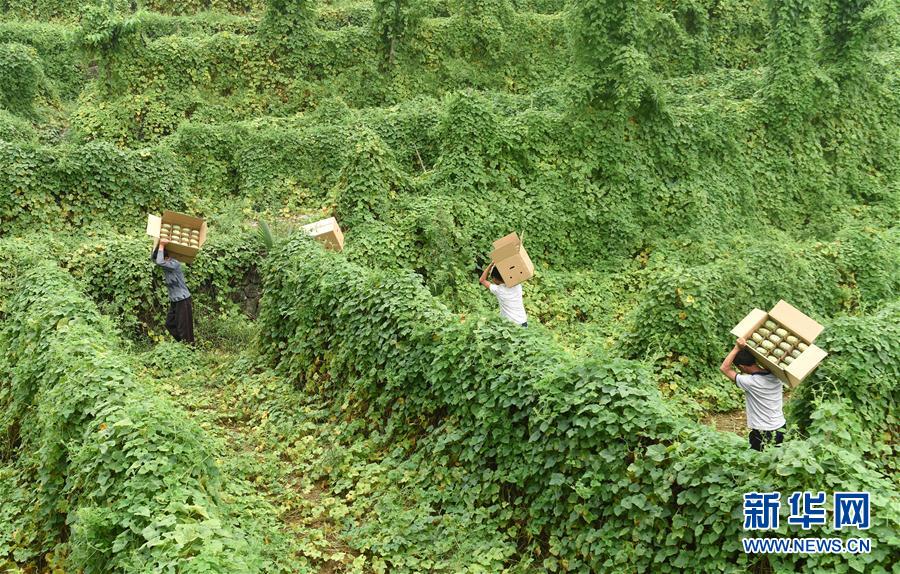 825գʡĥƺ̶ƺ˲ժõĻι