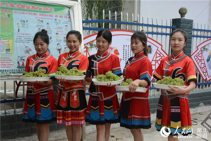 湖北建始:脱贫葡萄托起农民致富路