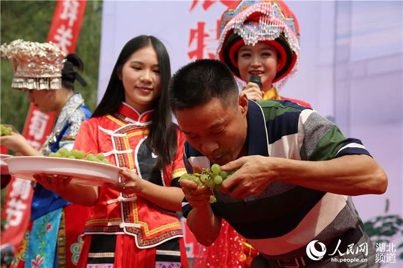 湖北建始:脱贫葡萄托起农民致富路