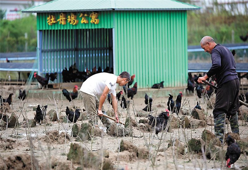 河南固始:产业为基 铺就脱贫致富路