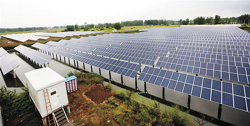 河南固始:产业为基 铺就脱贫致富路