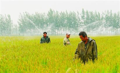 ũҵṹԸĸʵˮֲ󻧵˼