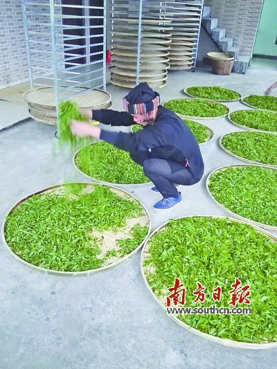 ĲҶ硰㶫ϴҶҵתô