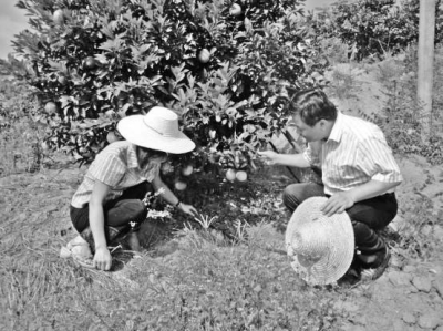 ׼Чɫ㶫ʡƹӦˮһ廯ʵ