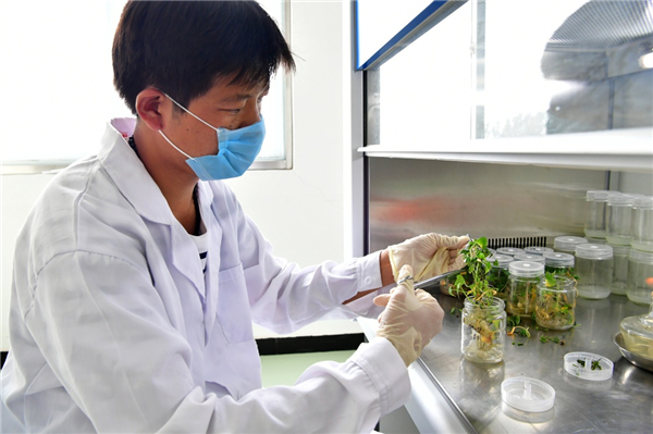 ƷɡҵϵΧơũ´ٽҵת