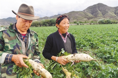 տУչִũҵ 조ܲС