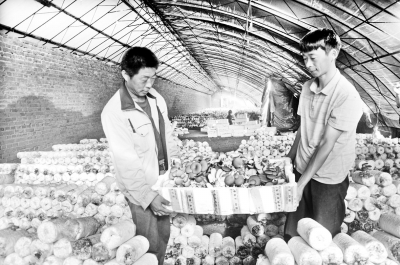 内蒙古:一菌兴富一方