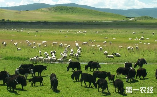 ຣŻũҵҵṹ ɳչũҵ