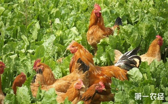 ຣŻũҵҵṹ ɳչũҵ