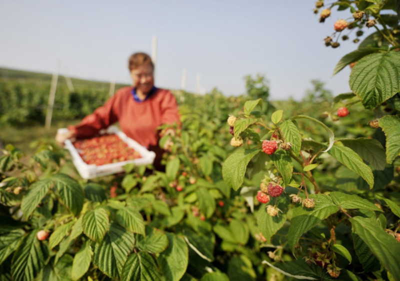 ӱʡ¡أݮһ塱ɫֲؿũ·