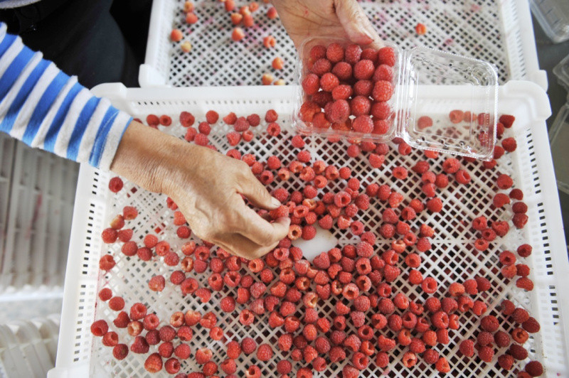 98գһũںӱʡ¡ƫӪһݮֲذװݮ