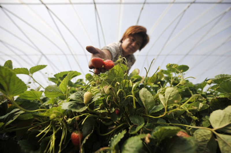 8գһũںӱʡ¡¼Ӫһݮֲزժݮ