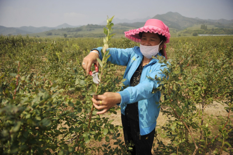 98գһũںӱʡ¡¼Ӫһݮֲ޼ݮ֦