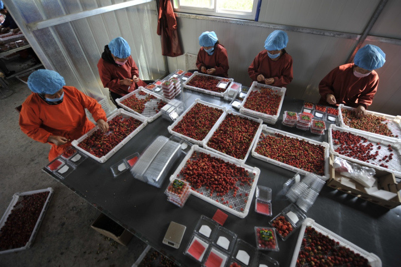 98գһũںӱʡ¡ƫӪһݮֲذװݮ