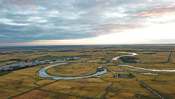 吉林白城:金秋水稻丰收美