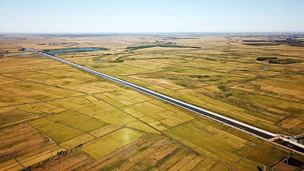 吉林白城:金秋水稻丰收美