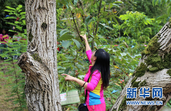 ǿڸ߹ԺΪý ũںϷչ