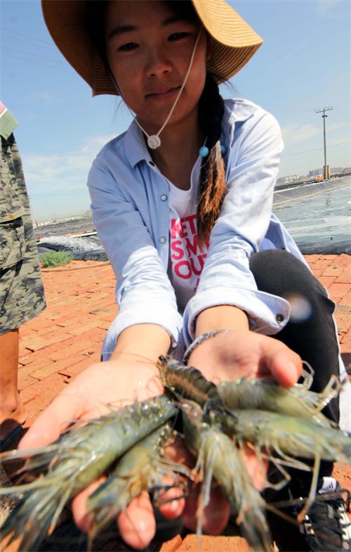 ɽʡģˮֳϷǰ߽ڶϺɹ