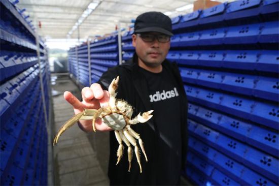 ½ŵʮʦѭˮֳзóɹ