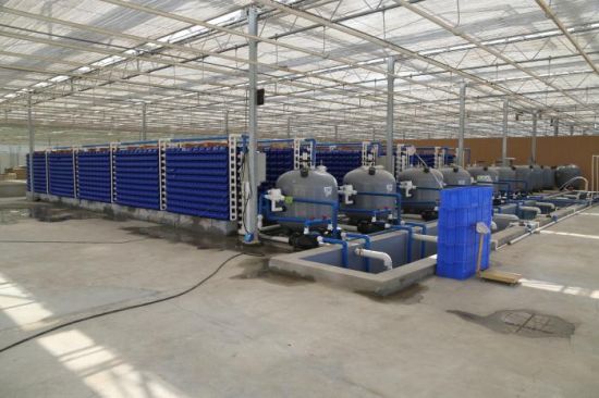 ½ŵʮʦѭˮֳзóɹ