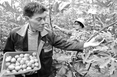 ½ŹУСС޻һĶֵԪ