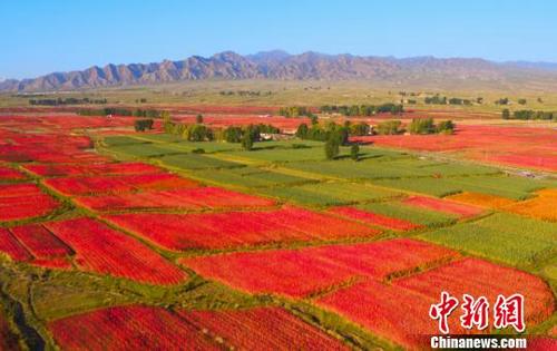 ����ɽ��޼��� ����������Ķ޼��ӭ�����ռ�