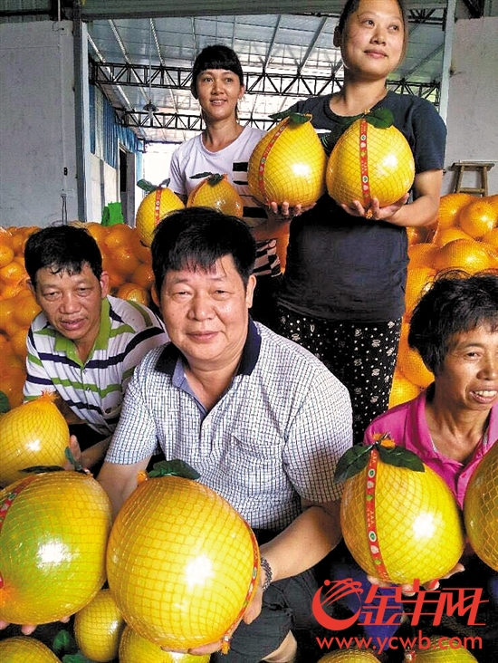 ͳũҵ߳· й֮硱㶫÷ϲӭ