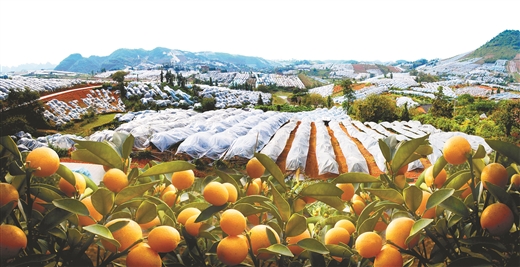 广西桂林:开“良方”拔穷根 精准扶贫显成效