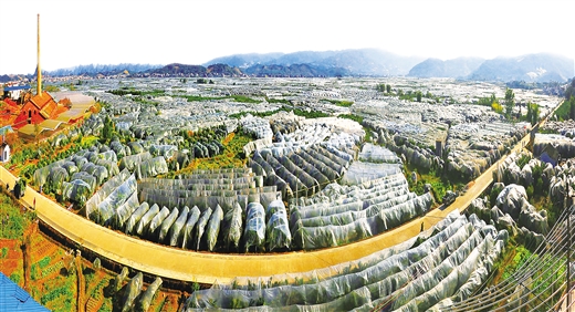 广西桂林:开“良方”拔穷根 精准扶贫显成效