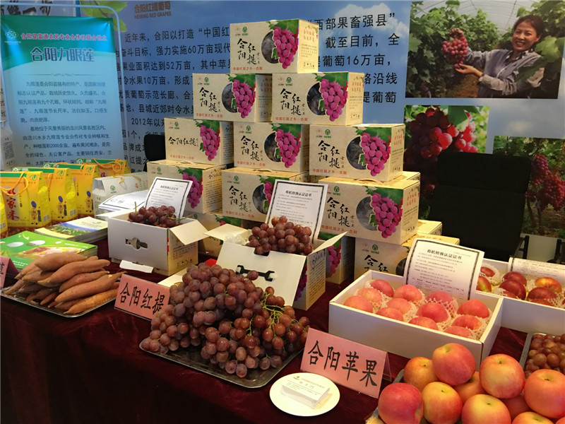 μ ̬2017μɫˮƽٰ