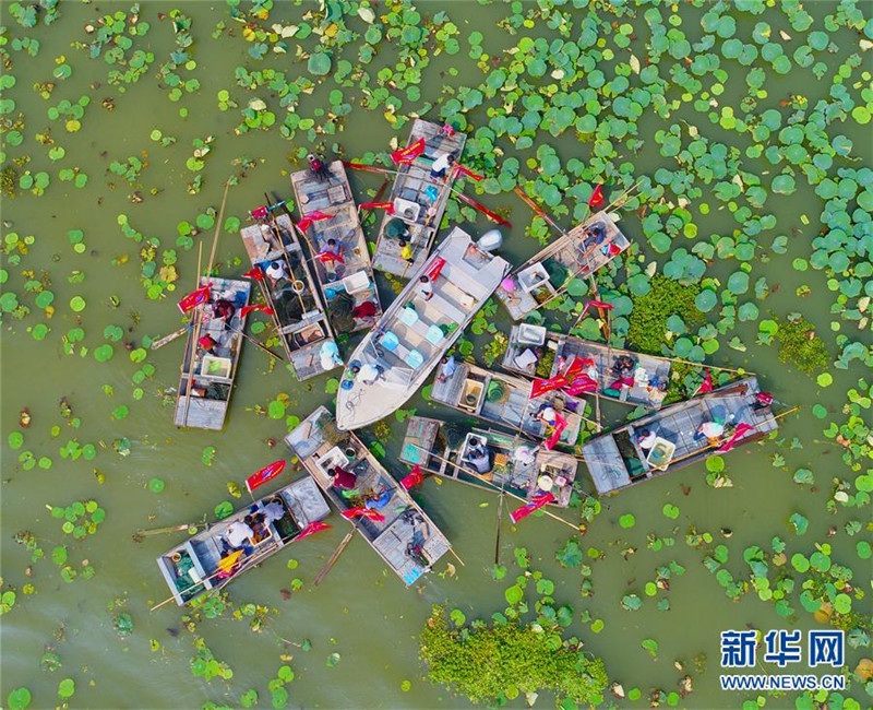 江苏泗洪:洪泽湖大闸蟹开捕上市