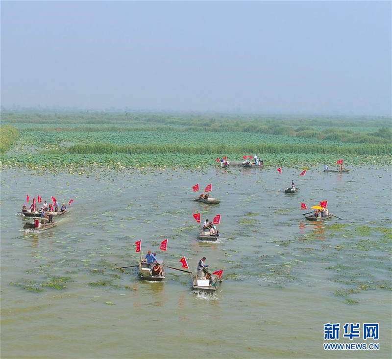 江苏泗洪:洪泽湖大闸蟹开捕上市