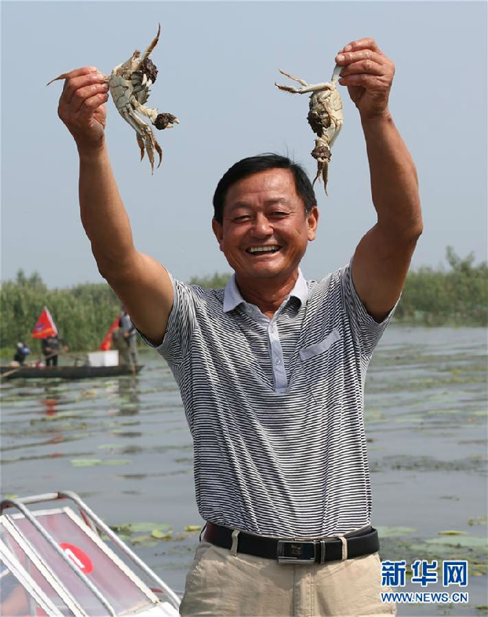 江苏泗洪:洪泽湖大闸蟹开捕上市