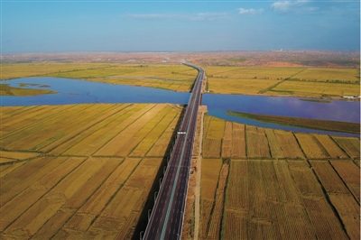 宁夏银川:金秋塞上 稻香醉人