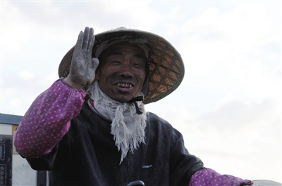 宁夏银川:金秋塞上 稻香醉人