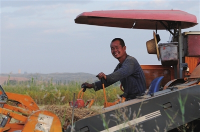 宁夏银川:金秋塞上 稻香醉人