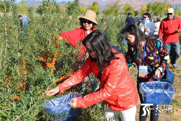 ½ŵھʦ170ɳҵ ʵְųЧ