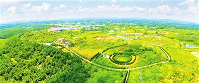 㶫޶ʯֲҩ1700ĶֵԼ1230Ԫ