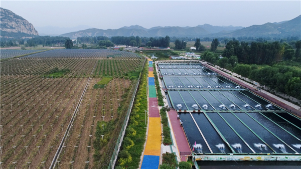 ӱأ조԰ۺ塱 ũҵչ¶