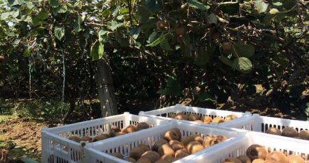 üй⨺֮硱 ߵͲǿǿ