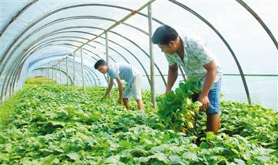 ˮɽ巢չʥŮҵ ҲɡҡǮ