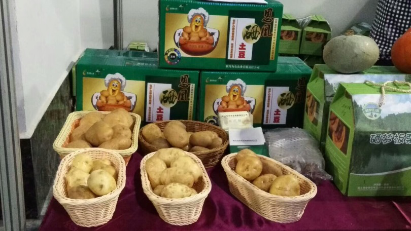 2.png 湖北:恩施硒博会 利川土豆大放异彩