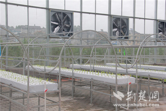 ˲׽ũҵ껪ִũҵʱ㡱