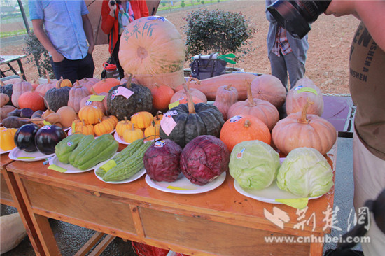 ˲׽ũҵ껪ִũҵʱ㡱