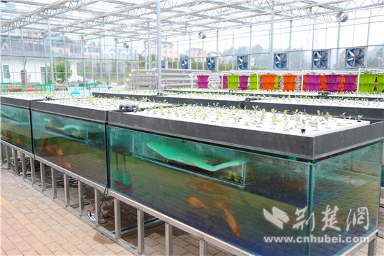 ˲׽ũҵ껪ִũҵʱ㡱